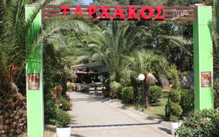 Prev Image