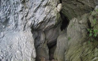 Prev Image