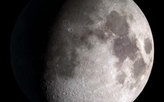 Prev Image